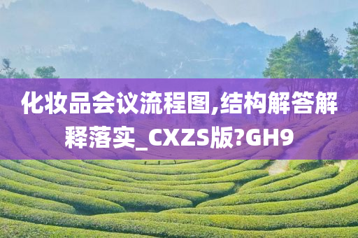 化妆品会议流程图,结构解答解释落实_CXZS版?GH9