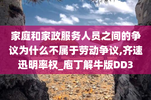 家庭和家政服务人员之间的争议为什么不属于劳动争议,齐速迅明率权_庖丁解牛版DD3