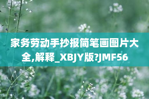 家务劳动手抄报简笔画图片大全,解释_XBJY版?JMF56