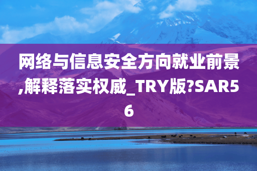 网络与信息安全方向就业前景,解释落实权威_TRY版?SAR56