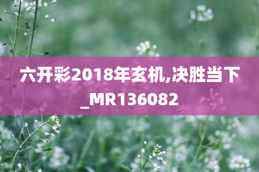 六开彩2018年玄机,决胜当下_MR136082