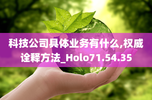 科技公司具体业务有什么,权威诠释方法_Holo71.54.35