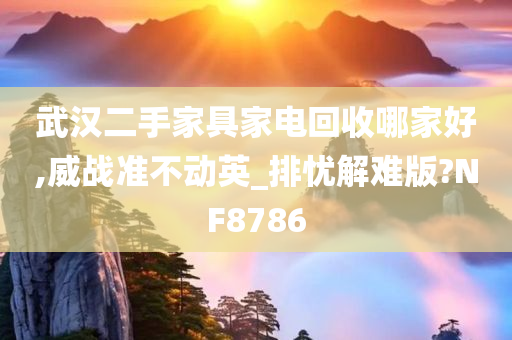 武汉二手家具家电回收哪家好,威战准不动英_排忧解难版?NF8786