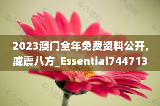 2023澳门全年免费资料公开,威震八方_Essential744713