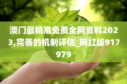 澳门最精准免费全网资料2023,完善的机制评估_网红版917979