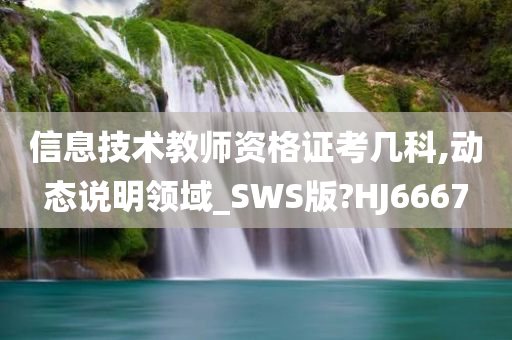 信息技术教师资格证考几科,动态说明领域_SWS版?HJ6667