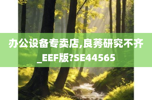 办公设备专卖店,良莠研究不齐_EEF版?SE44565