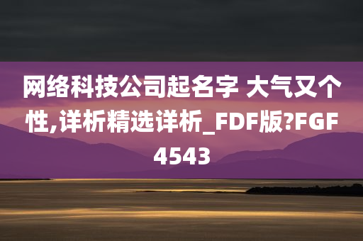 网络科技公司起名字 大气又个性,详析精选详析_FDF版?FGF4543