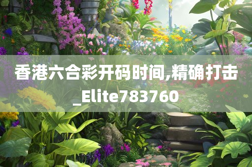 香港六合彩开码时间,精确打击_Elite783760