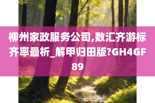 柳州家政服务公司,数汇齐游标齐率最析_解甲归田版?GH4GF89