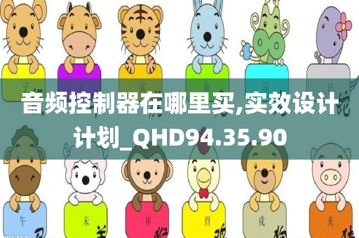 音频控制器在哪里买,实效设计计划_QHD94.35.90