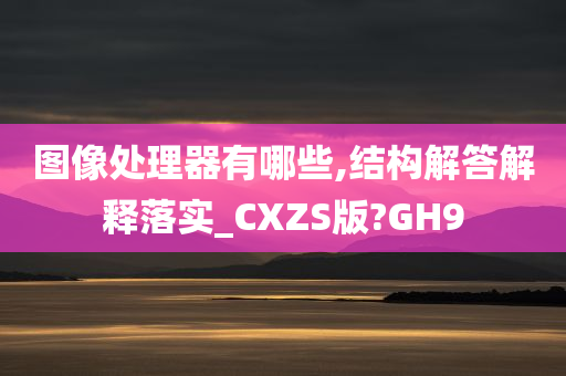 图像处理器有哪些,结构解答解释落实_CXZS版?GH9