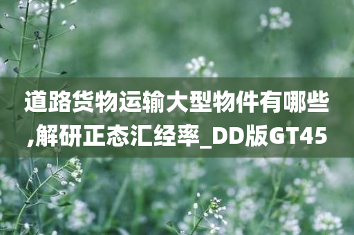 道路货物运输大型物件有哪些,解研正态汇经率_DD版GT45