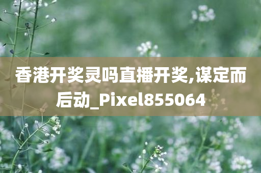 香港开奖灵吗直播开奖,谋定而后动_Pixel855064