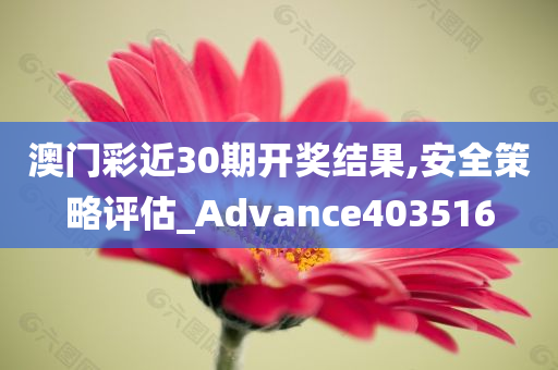 澳门彩近30期开奖结果,安全策略评估_Advance403516