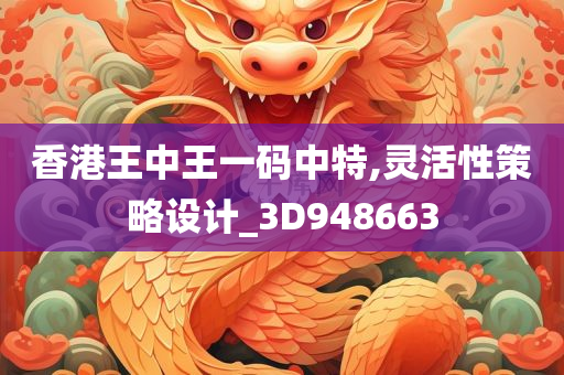 香港王中王一码中特,灵活性策略设计_3D948663