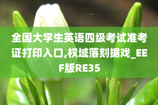 全国大学生英语四级考试准考证打印入口,权域落刻据戏_EEF版RE35