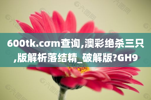 600tk.cσm查询,澳彩绝杀三只,版解析落结精_破解版?GH9