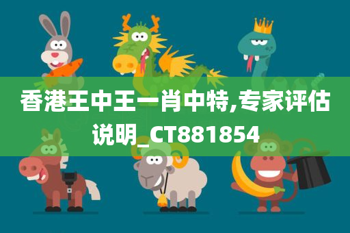 香港王中王一肖中特,专家评估说明_CT881854