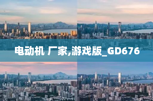 电动机 厂家,游戏版_GD676