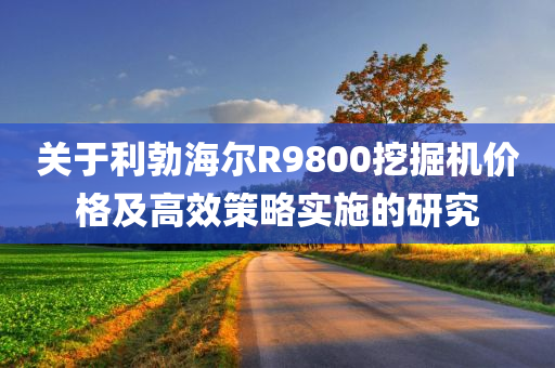 关于利勃海尔R9800挖掘机价格及高效策略实施的研究