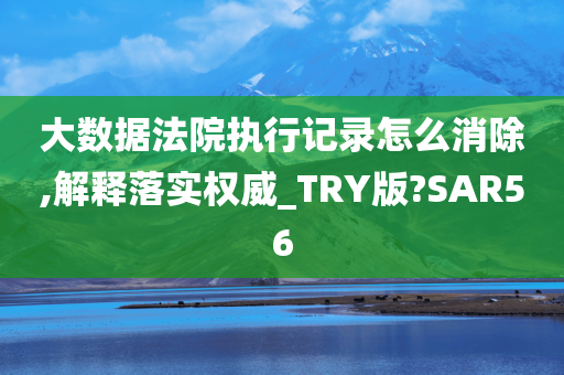 大数据法院执行记录怎么消除,解释落实权威_TRY版?SAR56