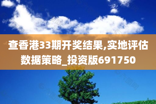 查香港33期开奖结果,实地评估数据策略_投资版691750