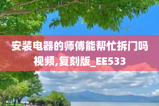 安装电器的师傅能帮忙拆门吗视频,复刻版_EE533