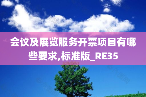 会议及展览服务开票项目有哪些要求,标准版_RE35