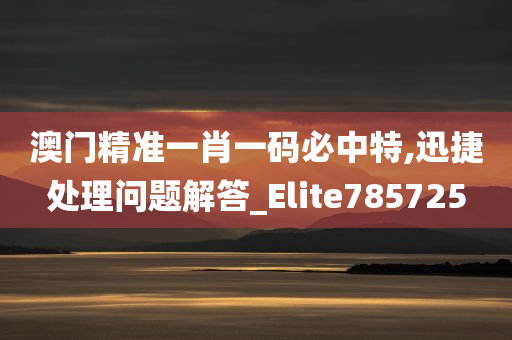 澳门精准一肖一码必中特,迅捷处理问题解答_Elite785725