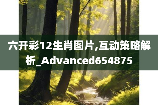 六开彩12生肖图片,互动策略解析_Advanced654875