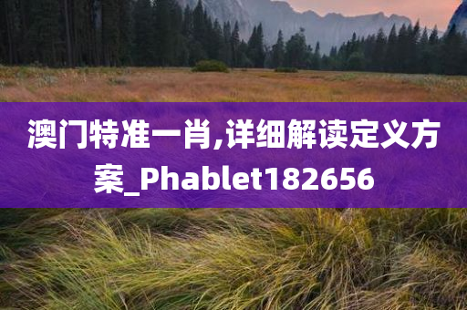 澳门特准一肖,详细解读定义方案_Phablet182656