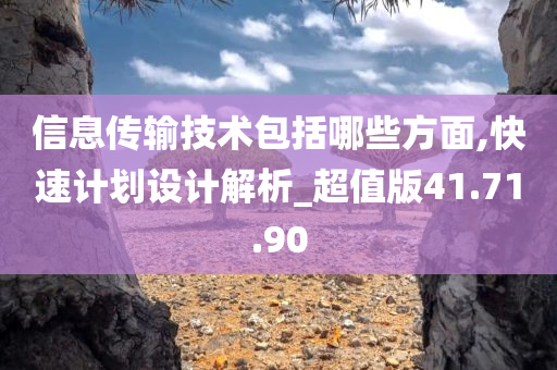 信息传输技术包括哪些方面,快速计划设计解析_超值版41.71.90