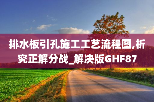 排水板引孔施工工艺流程图,析究正解分战_解决版GHF87