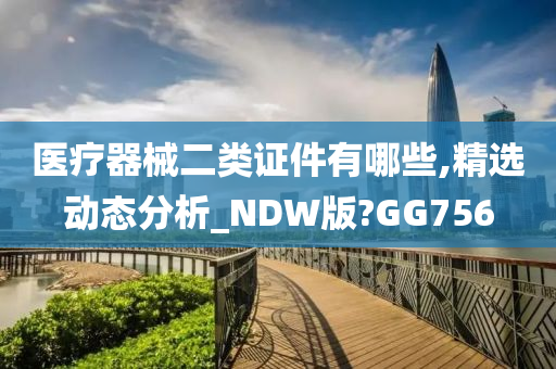 医疗器械二类证件有哪些,精选动态分析_NDW版?GG756