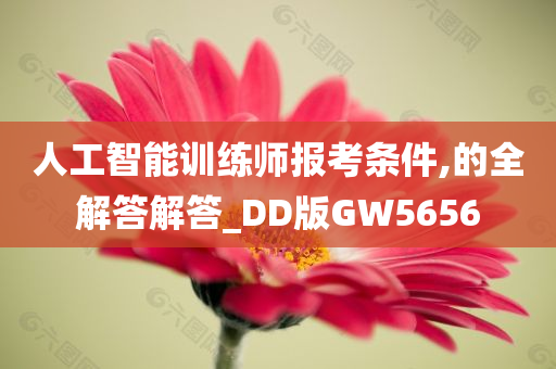 人工智能训练师报考条件,的全解答解答_DD版GW5656