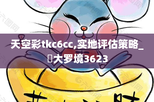 天空彩tkc6cc,实地评估策略_‌大罗境3623