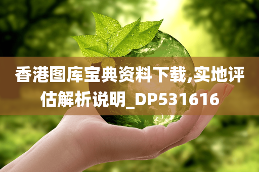 香港图库宝典资料下载,实地评估解析说明_DP531616