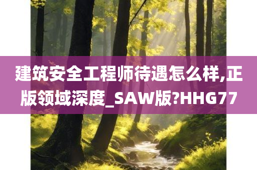 建筑安全工程师待遇怎么样,正版领域深度_SAW版?HHG77