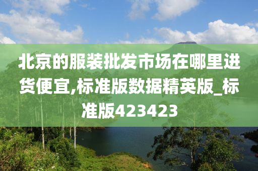 北京的服装批发市场在哪里进货便宜,标准版数据精英版_标准版423423