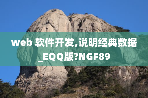 web 软件开发,说明经典数据_EQQ版?NGF89