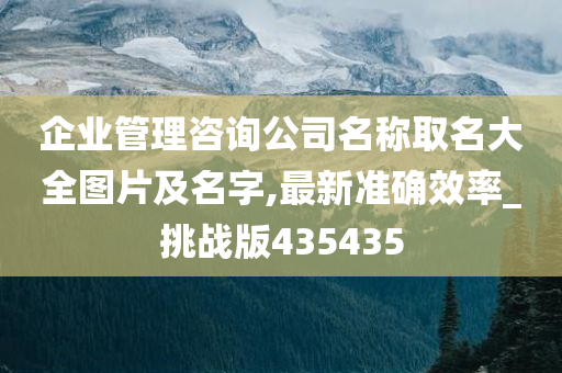 企业管理咨询公司名称取名大全图片及名字,最新准确效率_挑战版435435