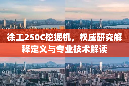 徐工250C挖掘机，权威研究解释定义与专业技术解读