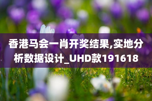 香港马会一肖开奖结果,实地分析数据设计_UHD款191618