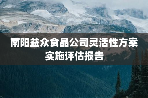 南阳益众食品公司灵活性方案实施评估报告