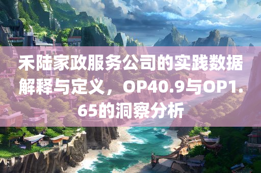 禾陆家政服务公司的实践数据解释与定义，OP40.9与OP1.65的洞察分析