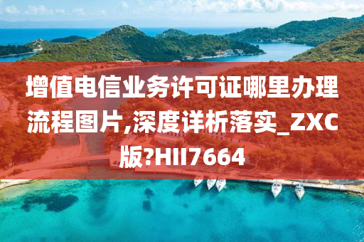 增值电信业务许可证哪里办理流程图片,深度详析落实_ZXC版?HII7664