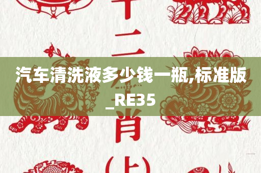 汽车清洗液多少钱一瓶,标准版_RE35