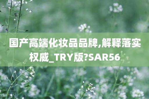 国产高端化妆品品牌,解释落实权威_TRY版?SAR56