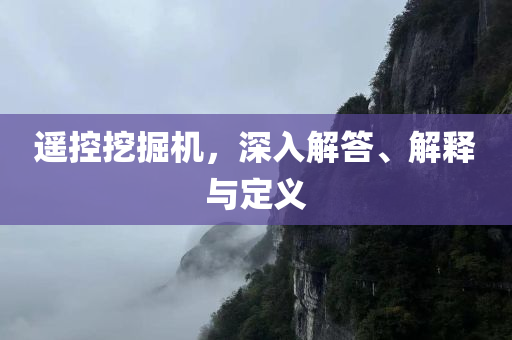 遥控挖掘机，深入解答、解释与定义